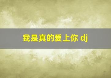 我是真的爱上你 dj